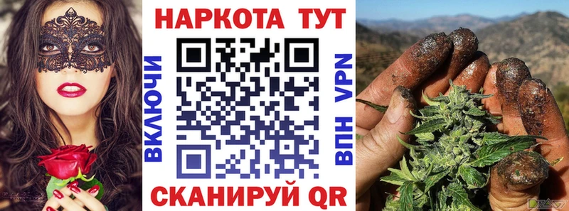 Где продают наркотики Нестеров ГАШ  omg как войти  Экстази  МЕФ  Псилоцибиновые грибы 