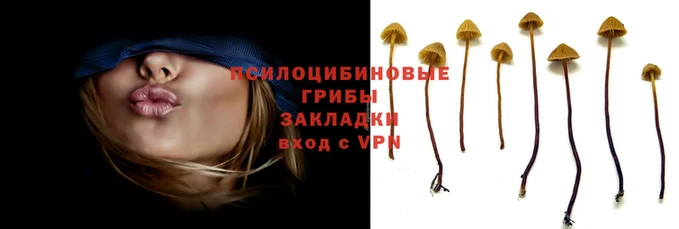 метадон Абинск