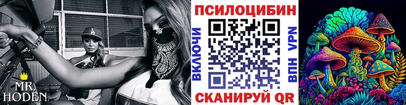 как найти наркотики  Нестеров  Псилоцибиновые грибы мухоморы 